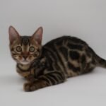 DSC00285