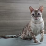 DSC01158 1