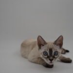 DSC01421