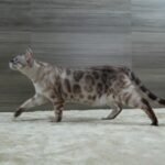 DSC01927 1