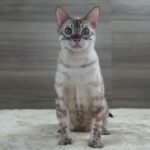 DSC01976 1
