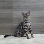 DSC03950