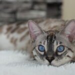 DSC04207