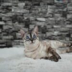 DSC04398