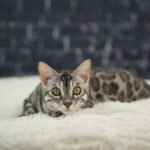 DSC05847