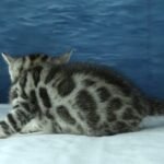 DSC09390 1