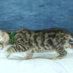 DSC09522 1