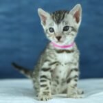 DSC09761 1