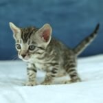 DSC09801 1