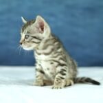 DSC09905 1
