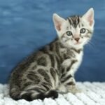 FuniDSC00416