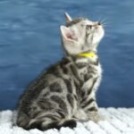 FuniDSC00421