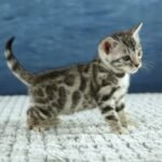 FuniDSC00469