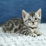 FuniDSC00495
