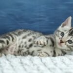 FuniDSC00549