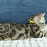 FuniDSC00564