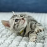 FuniDSC00575