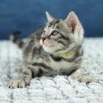 FuniDSC00581