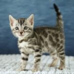 FuniDSC00621