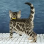 FuniDSC00626