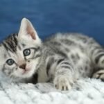 FuniDSC00652