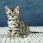 FuniDSC00657