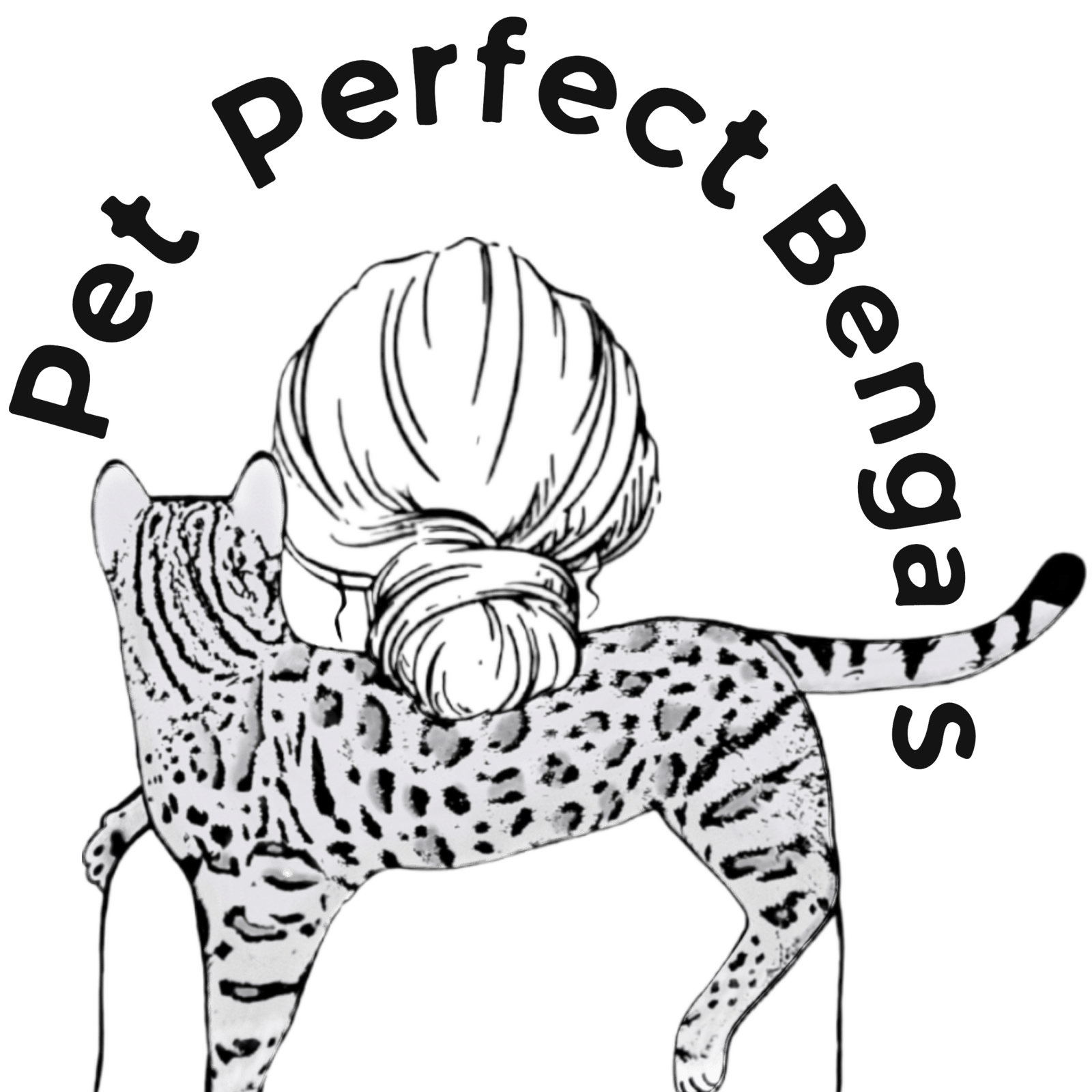 Black Bengal Cats Charcoal Melanistic MN Breeder black-bengal-cats-charcoal-melanistic-mn-breeder