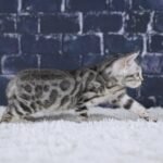 FuniDSC01736