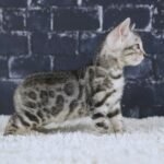 FuniDSC01739