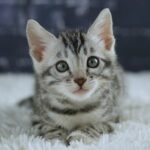 FuniDSC01955
