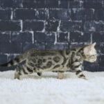 FuniDSC02068