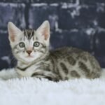 FuniDSC02170