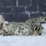 FuniDSC02180
