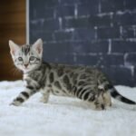 FuniDSC02187