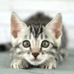FuniDSC03761