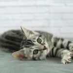 FuniDSC03816