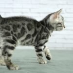 FuniDSC03830