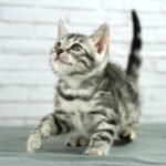 FuniDSC03982
