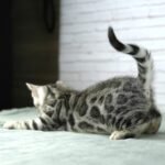 FuniDSC04023