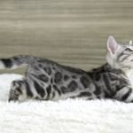 FuniDSC07130