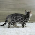 FuniDSC07245