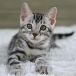 FuniDSC07276