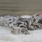 FuniDSC07317