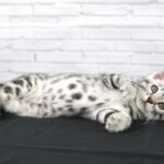 FuniDSC07753