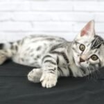 FuniDSC07766