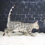 FangDSC04046