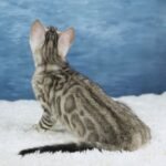 FuniDSC00969