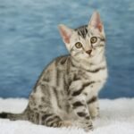 FuniDSC09003