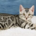 FuniDSC09062