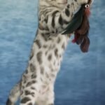 FuniDSC09078